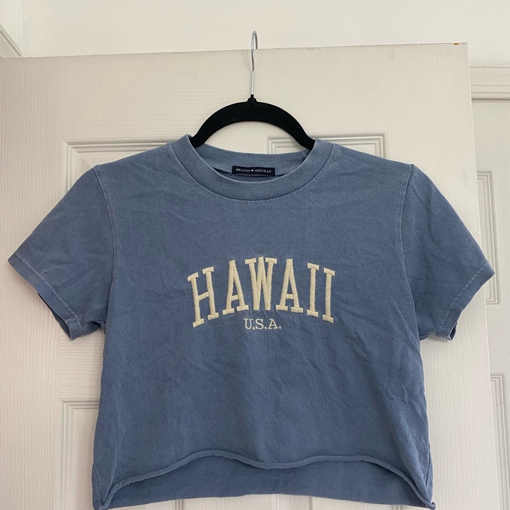 Brandy Melville Embroidered Cropped T-Shirt